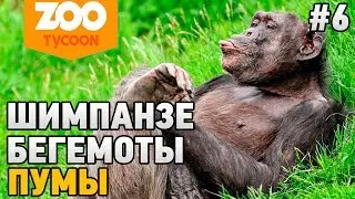 Zoo Tycoon: Ultimate Animal Collection #6 Шимпанзе,бегемоты,пумы