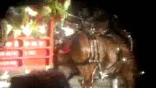 2014 ROSE PARADE:  ,BUDWEISER CLYDESDALES,ROSE PARADE