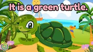 Reading Practice Using Basic Sentences for Kids | Reading Sentences | English Sentences