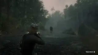 A normal day - RDR2 || Played on STADIA