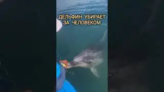 дожили