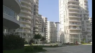 balmera