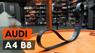 How to change serpentine belt / v-ribbed belt on AUDI A4 B8 Saloon [TUTORIAL AUTODOC]