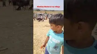 Weekly Animal Market at my village