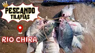 Pescando Tilapias 🐟 en el río de manera ARTESANAL | Recetas del Profe