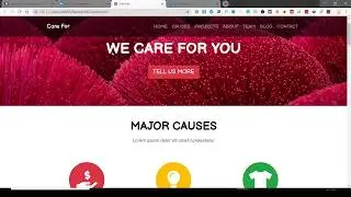 Build NGO website | NGO Website Design | How to make a Charity Website | NGO Website Design
