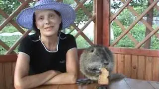 Страшно Красивые 6: хирург Рыбакин А.В. часть3