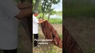 Звезда Раскладывает палатку