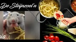 Spaghettifestoin - De Steijnzoel'n