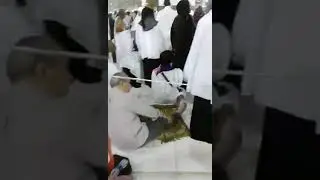 hagji 2017