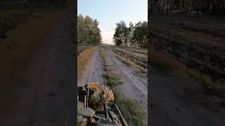19 сентября 2023 г.