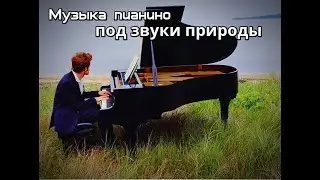 Расслабляющая музыка на фортепиано со звуками природы и альфа волнами