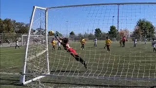 Goalie Highlights