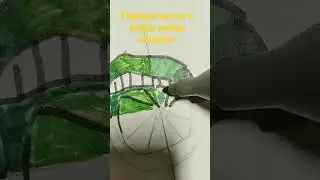 лаймовые губы 🍈