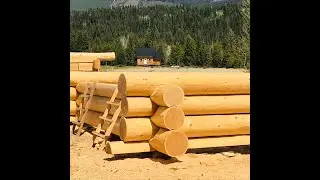 How does electrical go in a log home?? #logcabin #cabinbuild #loghomes #logbuilding #bclogschool