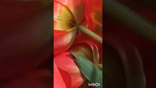 БЕС ЖИВУЩИЙ В ЦЕРКВИ