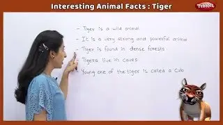 Interesting Animal Facts : Tiger | Tiger Essay in English | Tiger Song | Tiger Story | Learn Animals