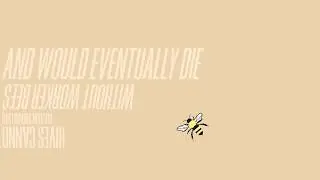 ArtGr371: Project 1 Bee Motion Graphic