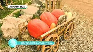 Ярославская область. АПК - 2018