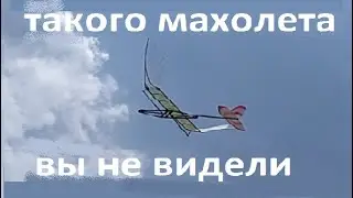 Резиномоторный махолёт или эволюция в руках инженера Ornithopter rubber band powered