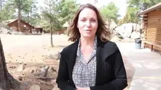 Leverage Testimony Sharon Kaselonis