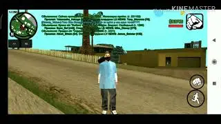 Обзор игры Флин РП