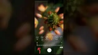 TUTORIAL como fazer fotografia Macro com o celular