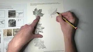 Drawing Mark Making and Texture- Drawing Exploring Surface