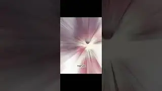#ясгу