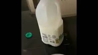 Cereal First. Always.