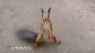 Летние  каникулы 😂