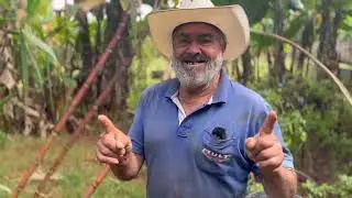 VOCÊ NÃO VAI ACREDITAR O QUE NASCEU AQUI NA ROÇA