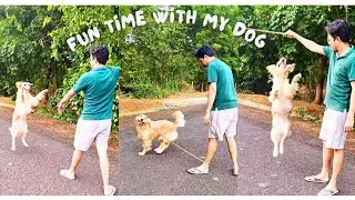 Fun time playing fetch with my dog 😊 @EmmatheGR#goldenretriever #puppy #cute #funny#viral