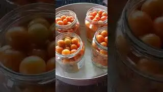 Маринованные помидоры с луком #рецепт#маринованныепомидоры.