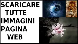 come scaricare tutte le immagini di una pagina web senza programmi salvare tutte le foto