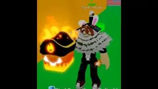 Spinning a Blox fruit Day 3