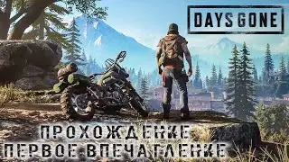 | ИГРАЮ В Days Gone |  В ПРЯМОМ ЭФИРЕ | КРОВЬ | МЯСО | ЗОМБИ |. ЦЕЛЬ 500 ПОДПИСЧИКОВ. ВЕЧЕРНИЙ СТРИМ