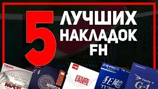 TOP 5 Table Tennis Forehand (FH) OFF Rubbers. Table Tennis 2024.