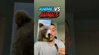 1,000 ANIMALS VS. ANIME CHARACTERS 🐻🦈 