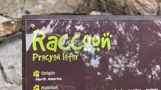 wildlife park Sunway lagoon