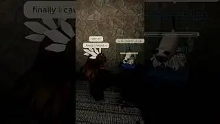 normal sibling interaction in neighborhood war [slight gore warning]