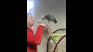 Паша с попугаем