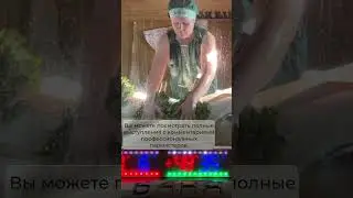 Пеленание в бане //Иван Бояринцев