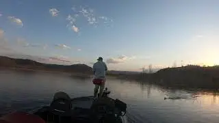 Alamo lake
Frog Fish