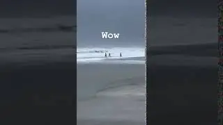 Swimmers venture into Hurricane Dorian surf