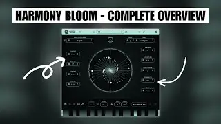 Harmony Bloom - Complete Overview