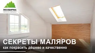 Может ли в 2024 году краска для дерева стоить дешево?
