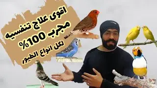 اقوى علاج للأمراض التنفسيه