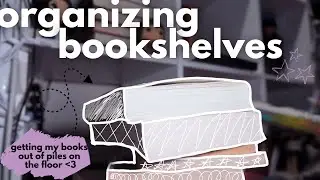 organizing my bookshelf AGAIN ☆  mini shelf tour