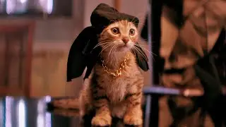 KEDİ SEVERLER İÇİN 50 HARİKA KEDİ FİLMİ